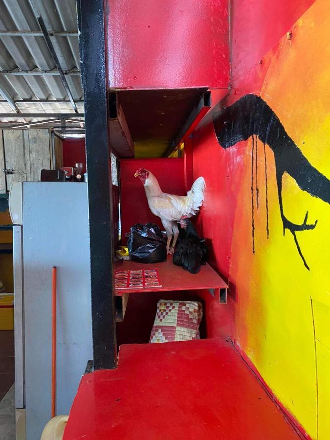 Lucky Sun Saracen Bay Hostel เกาะรงสำลน ภายนอก รูปภาพ