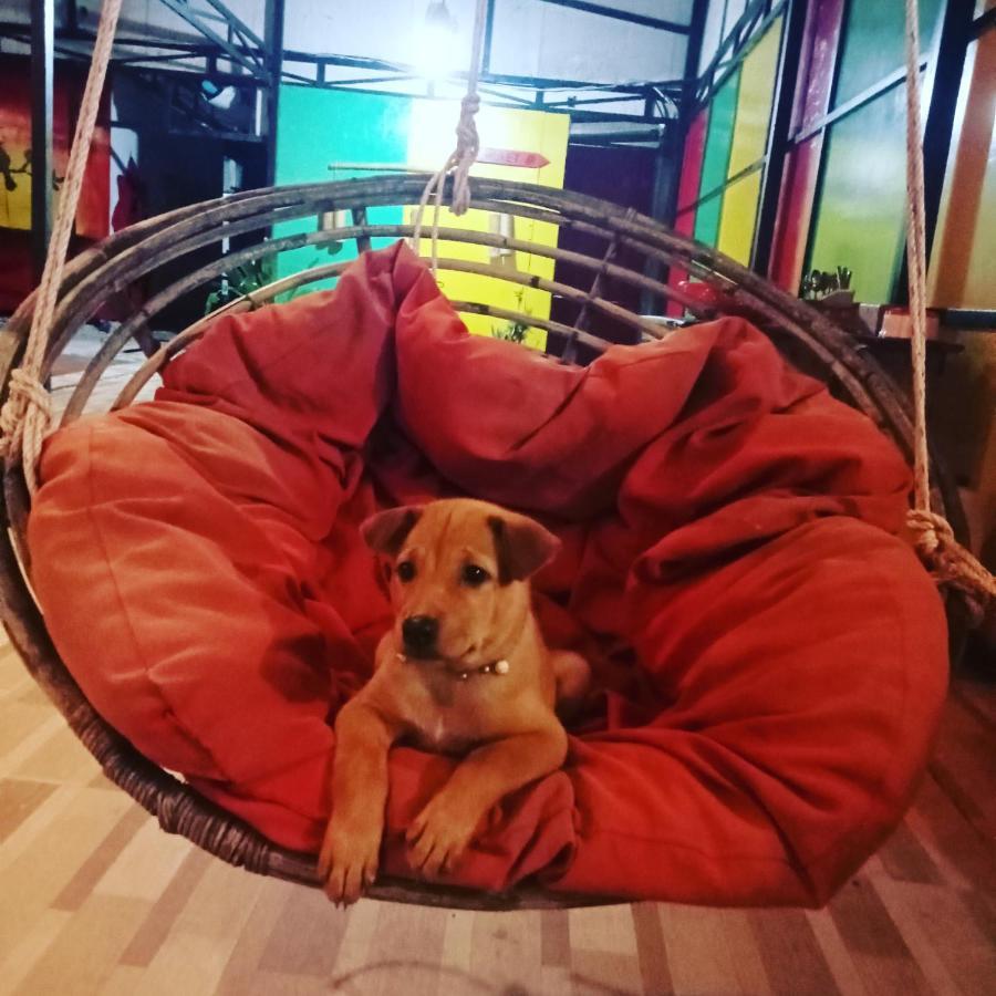 Lucky Sun Saracen Bay Hostel เกาะรงสำลน ภายนอก รูปภาพ